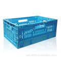 Injection Mould Crate Tray 2 Cavities Mango